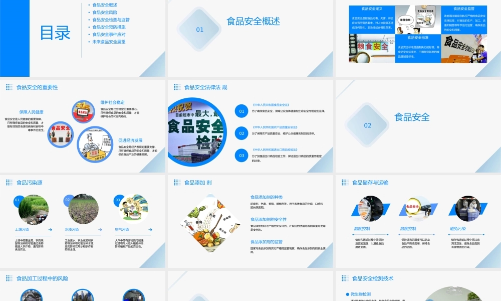 食品安全讲座(新)