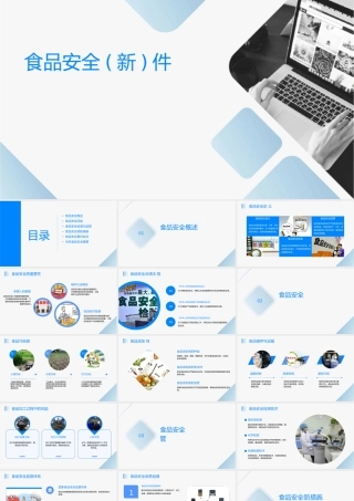 食品安全讲座(新)