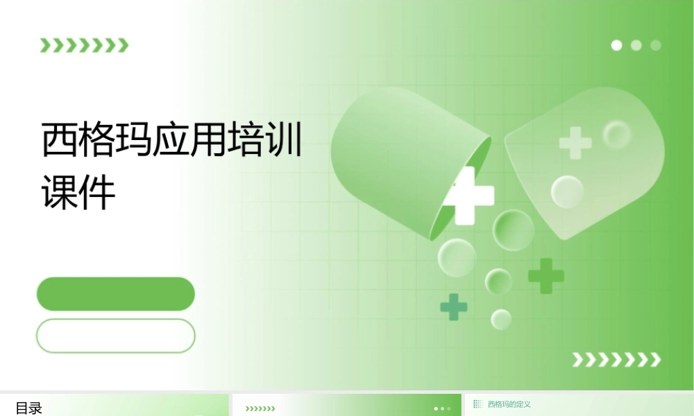 西格玛应用培训