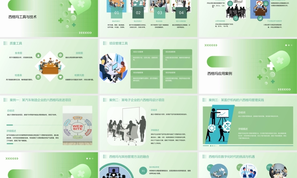 西格玛应用培训