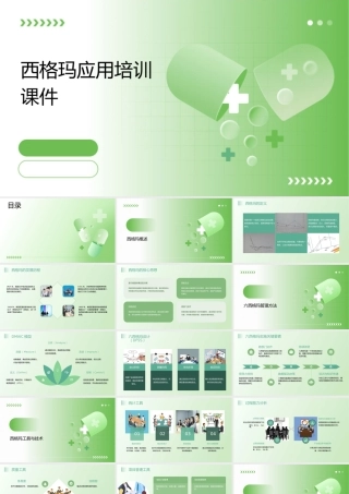 西格玛应用培训