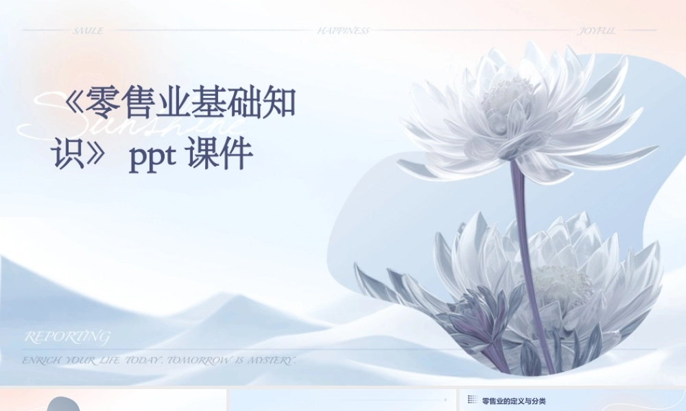 《零售业基础知识》课件