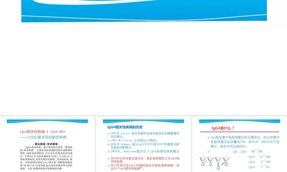 IgG4有关性疾病昀影像体现