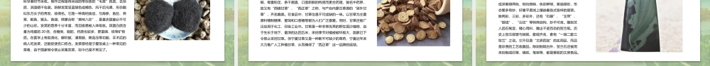 宁夏——塞上江南介绍课件