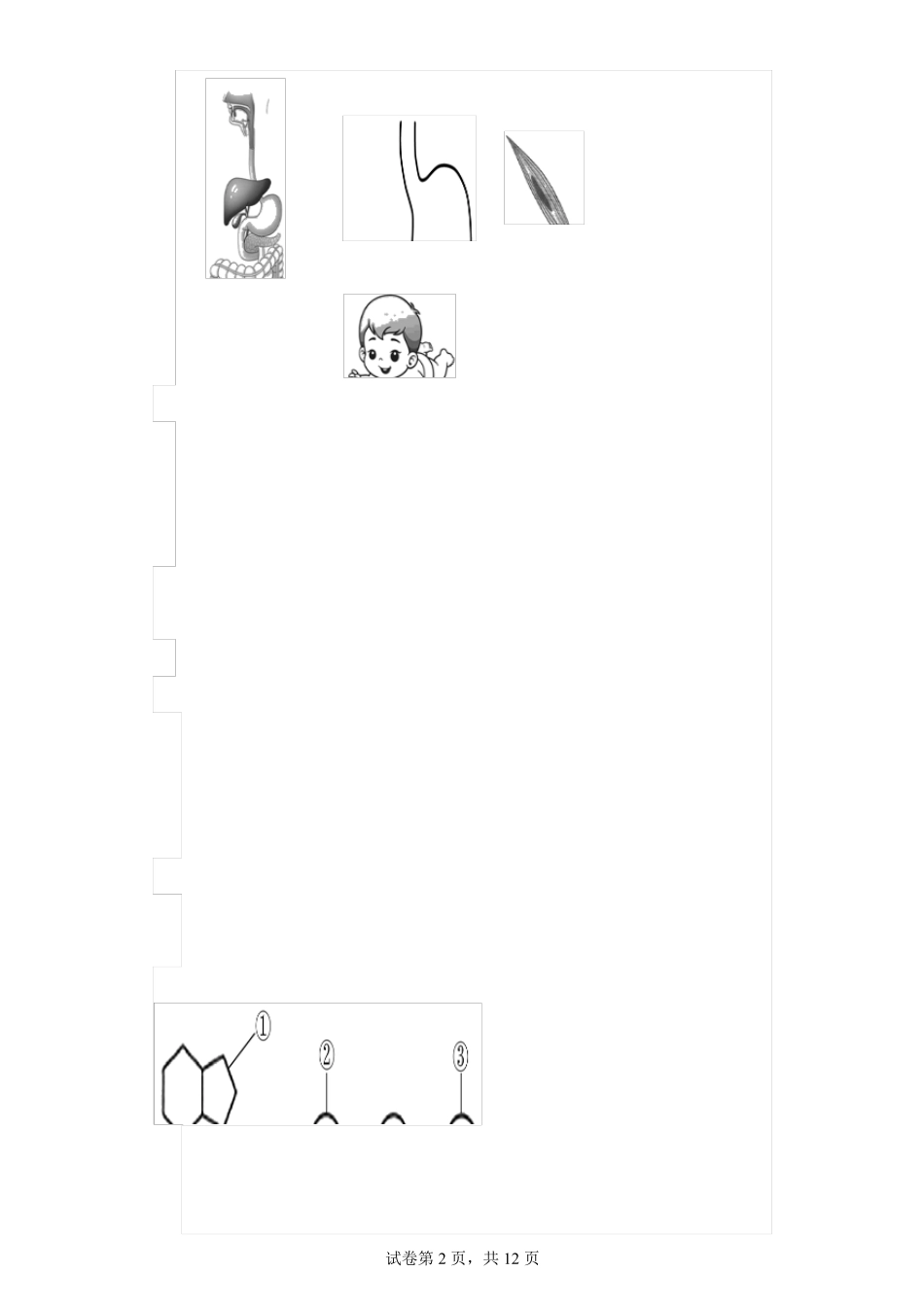 2023年河北省学业水平合格性考试生物试题(含解析_第2页