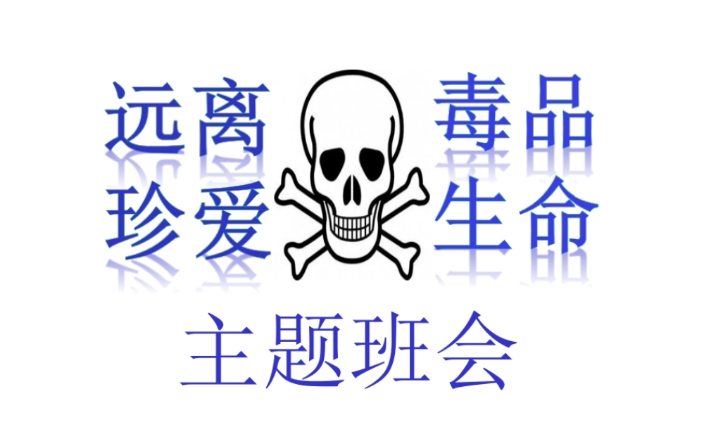 远离毒品，真爱生命主题班会