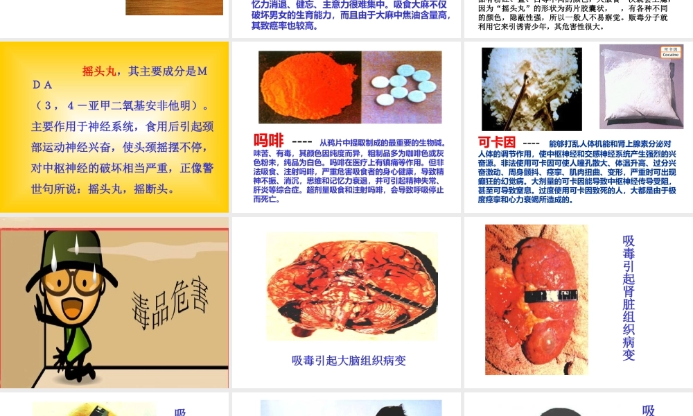 远离毒品，真爱生命主题班会