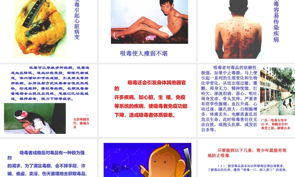 远离毒品，真爱生命主题班会