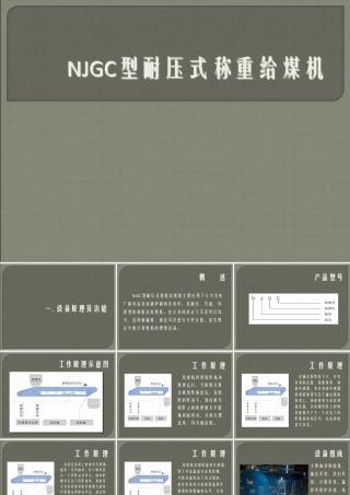 120607331139_0耐压式称重给煤机原理特点及自控系统介绍