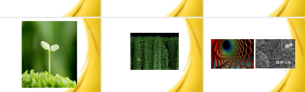 我所了解的纳米线-课件