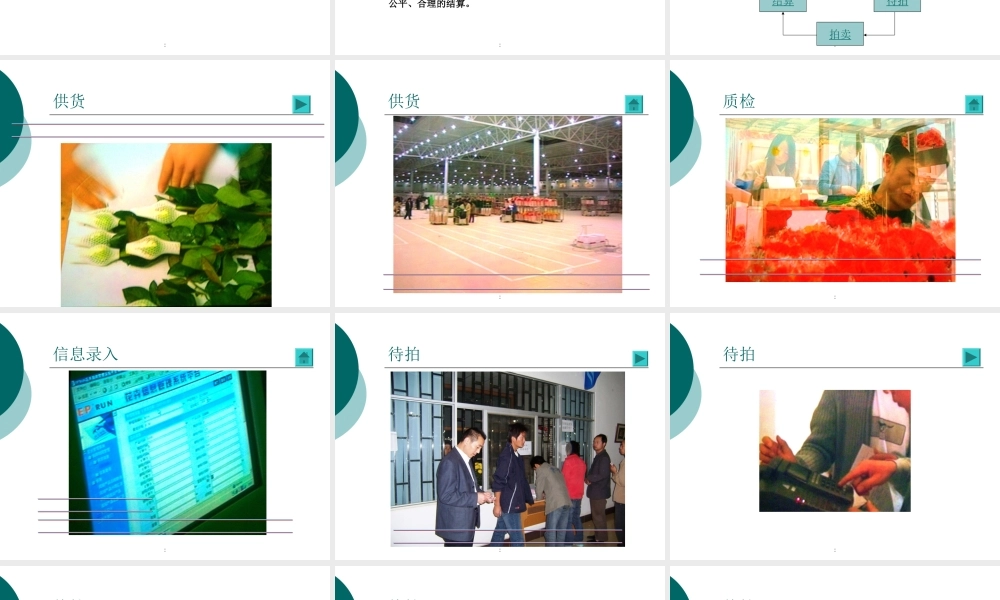昆明国际花卉交易拍卖中心课件
