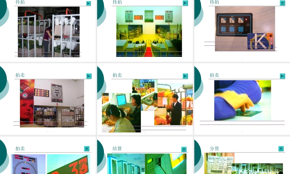 昆明国际花卉交易拍卖中心课件