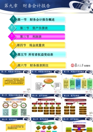第九章-财务会计报告
