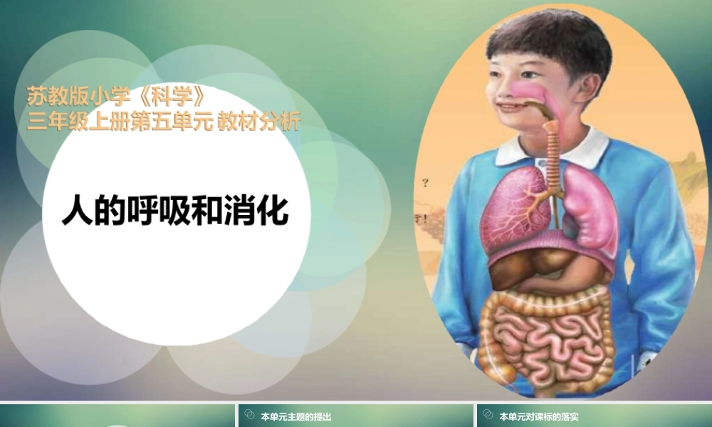 苏教版三年级册第5单元--人的吸和消化--教材分析课件