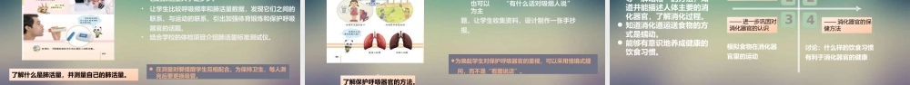 苏教版三年级册第5单元--人的吸和消化--教材分析课件