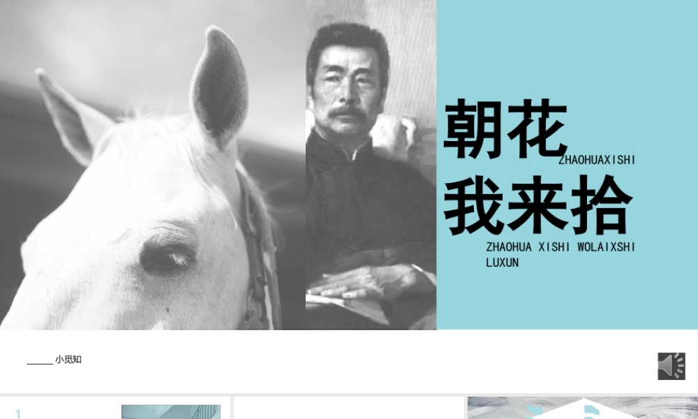 朝花夕拾课件