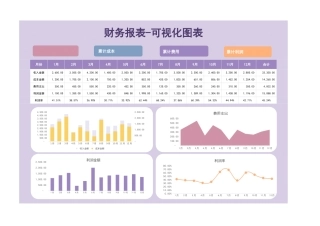 财务报表-可视化图表
