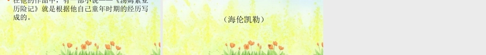 《汤姆索亚历险记》阅读导读课件