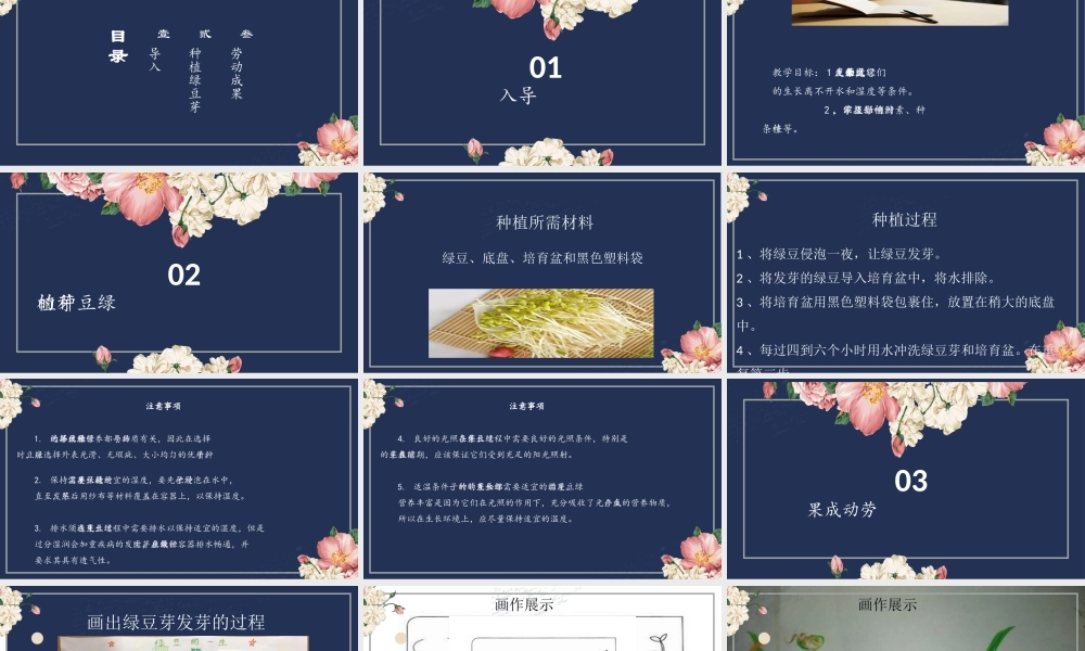 绿豆芽的秘密 课件 2023-2024学年小学劳动二年级上册（人教版）