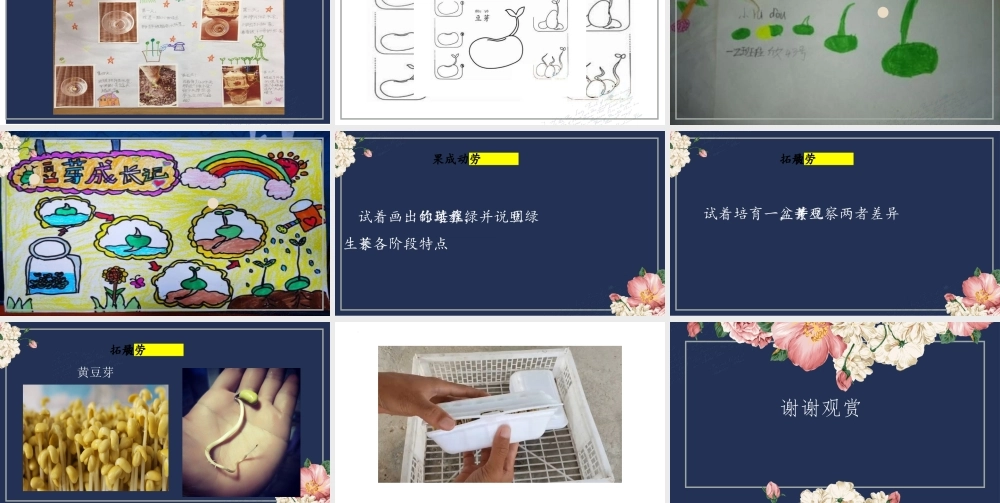 绿豆芽的秘密 课件 2023-2024学年小学劳动二年级上册（人教版）