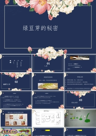 绿豆芽的秘密 课件 2023-2024学年小学劳动二年级上册（人教版）
