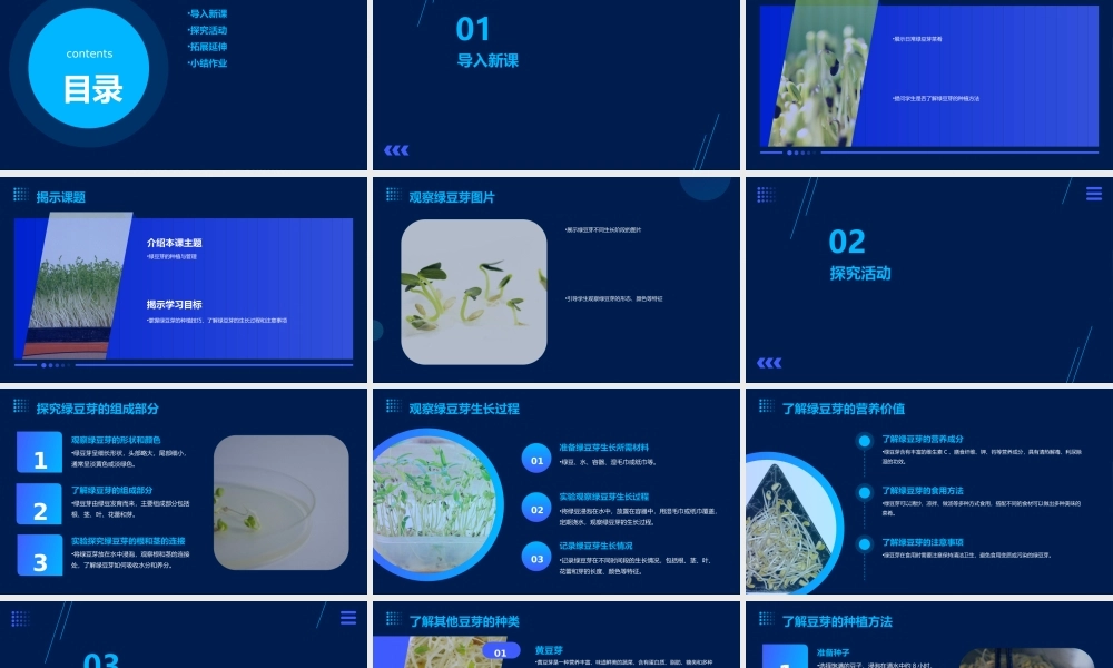绿豆芽的秘密（课件）2023-2024学年小学劳动二年级上册（人教版）