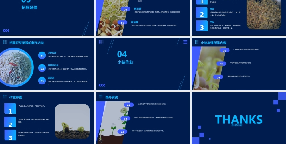 绿豆芽的秘密（课件）2023-2024学年小学劳动二年级上册（人教版）