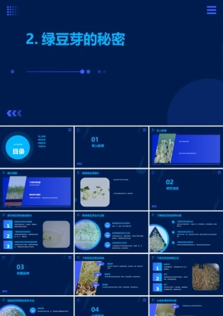 绿豆芽的秘密（课件）2023-2024学年小学劳动二年级上册（人教版）