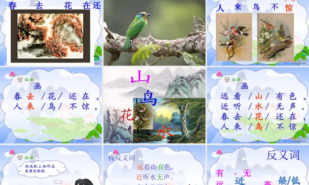 《画》原版完整课件