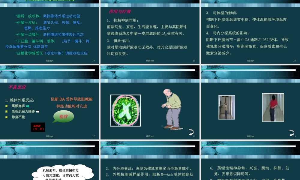 抗精神药物课件