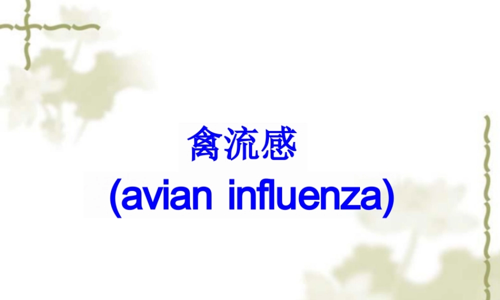 禽病学：禽流感