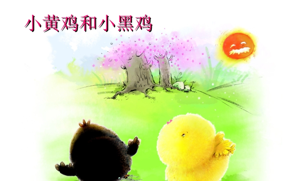 小黄鸡和小黑鸡