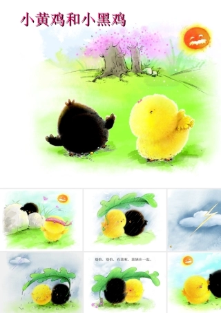小黄鸡和小黑鸡