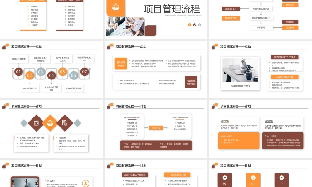 企业项目管理汇报