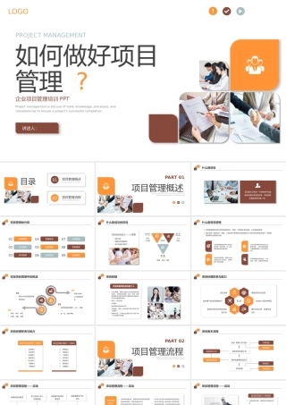 企业项目管理汇报