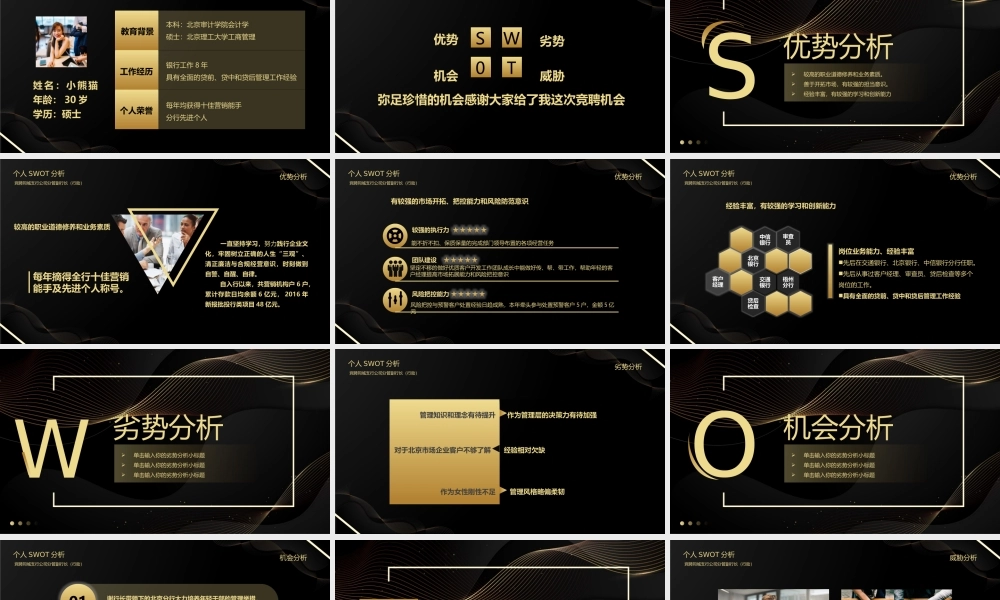 个人SWOT分析述职报告模板