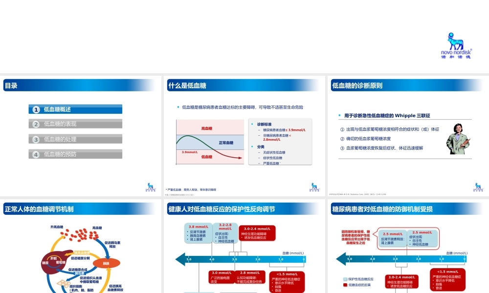 低血糖的预防及处理低血糖