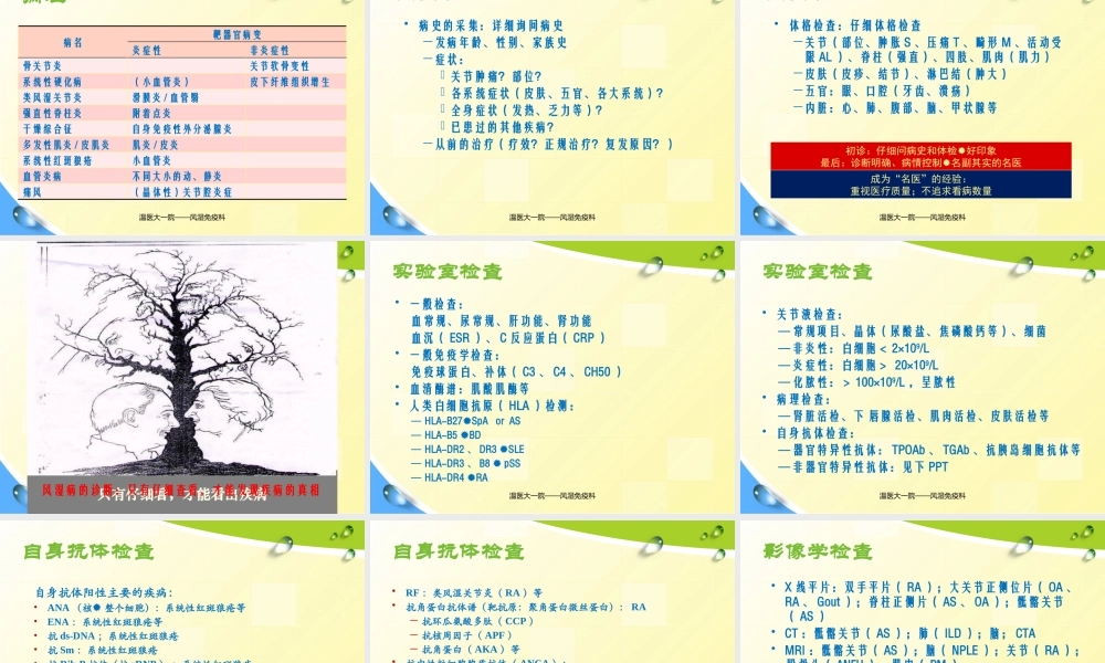 内-风免疫性疾病