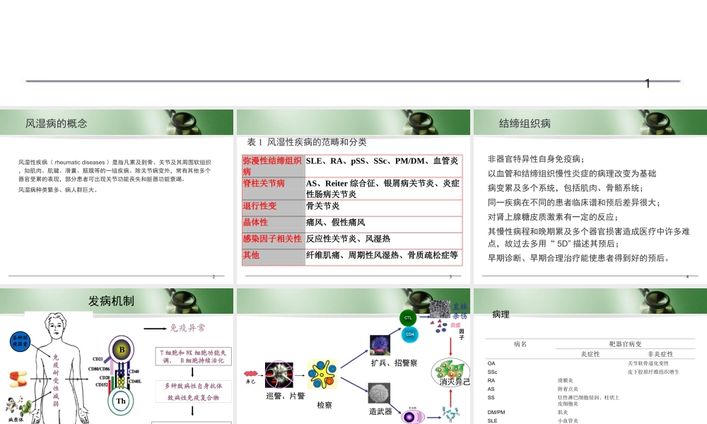 (医学课件)风病概述