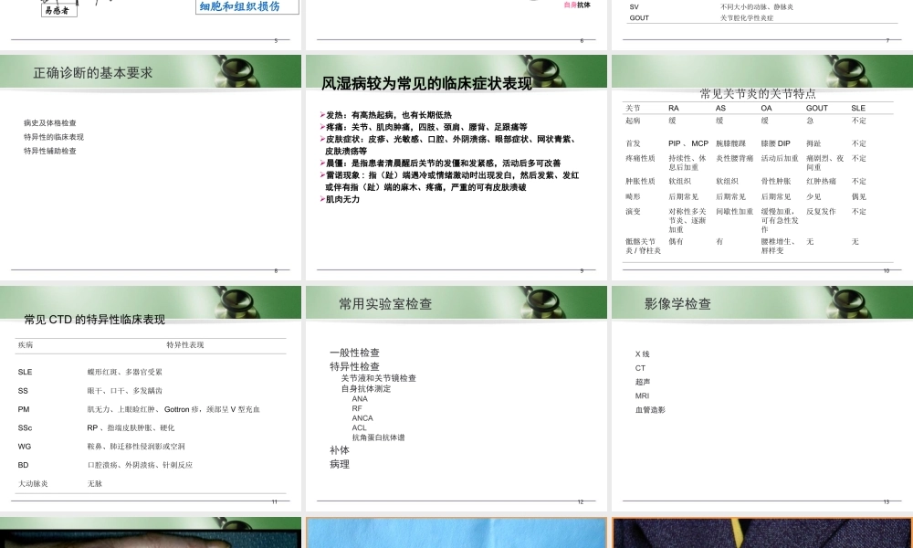 (医学课件)风病概述