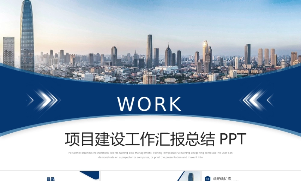 项目建设工作汇报总结