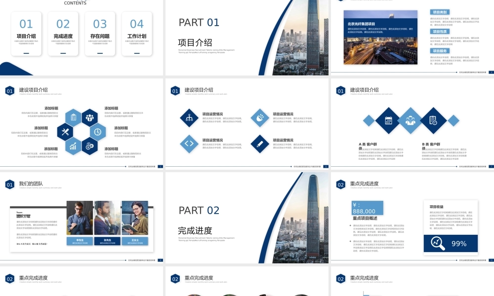 项目建设工作汇报总结