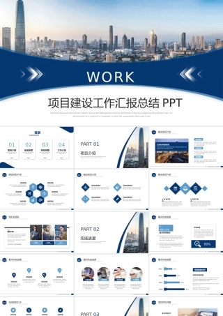 项目建设工作汇报总结