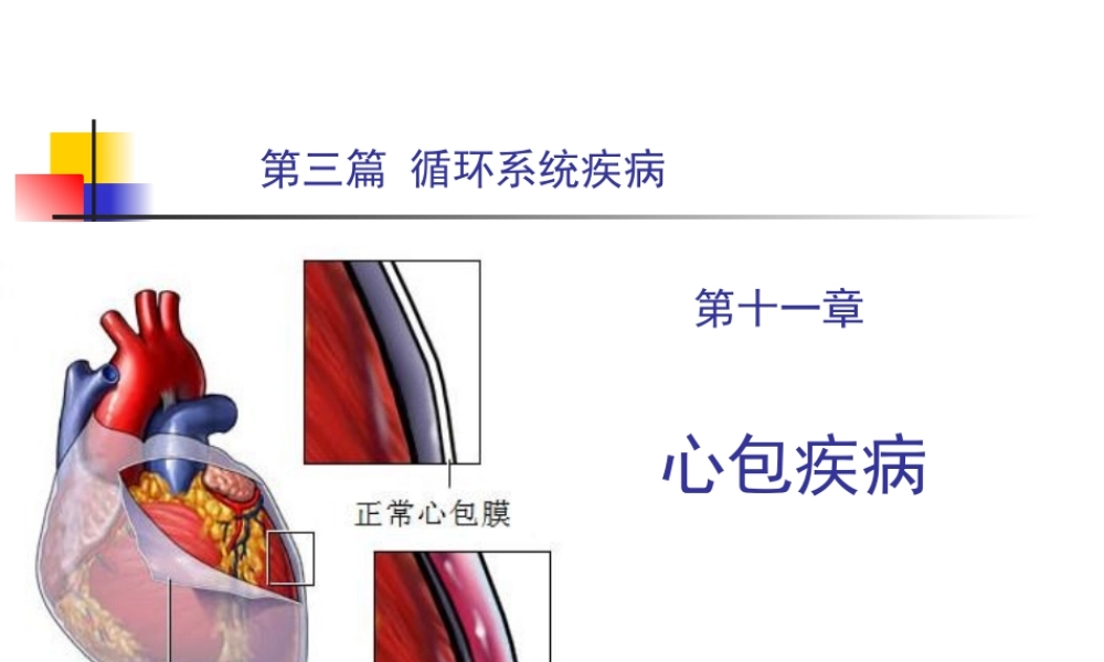 循环系统疾病-心包疾病