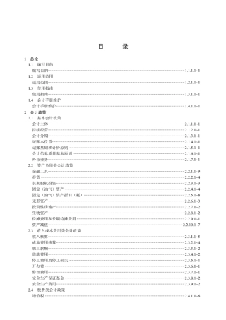 中国石油天然气集团公司《会计手册》2007版