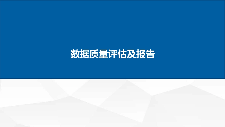 数据质量评估及报告_第1页