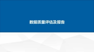 数据质量评估及报告