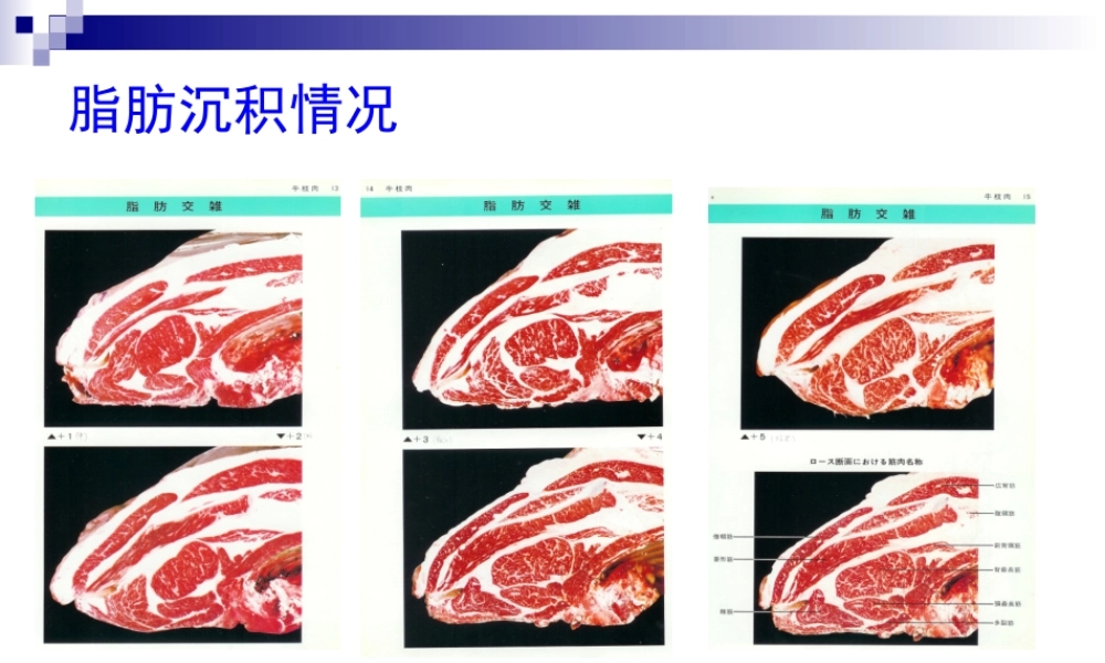 饲料营养价值的评定
