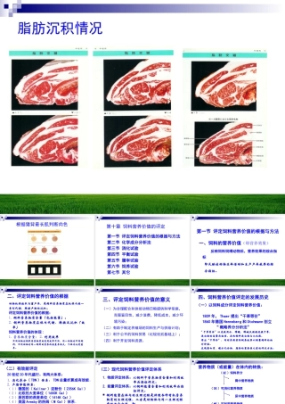 饲料营养价值的评定