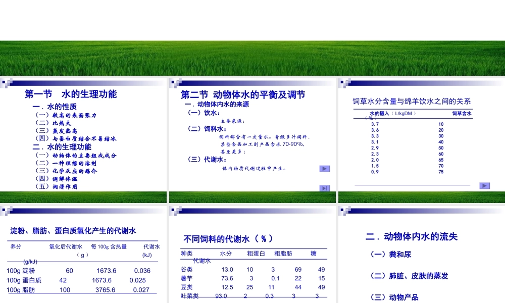 第二章 水与动物营养